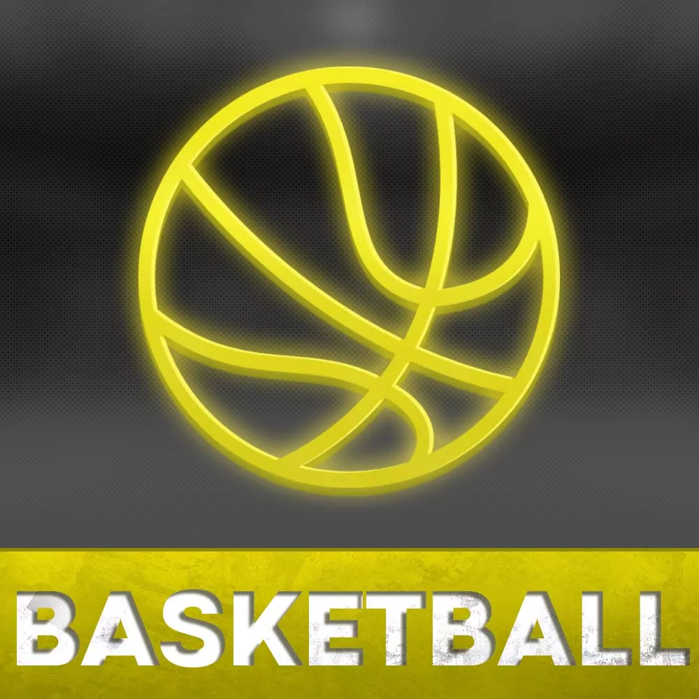 Basketball icon